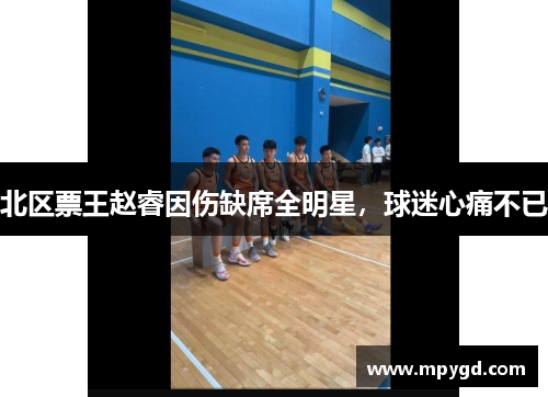 北区票王赵睿因伤缺席全明星，球迷心痛不已